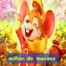 milhar do macaco que mais saem no jogo do bicho