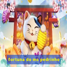 fortuna do mc pedrinho