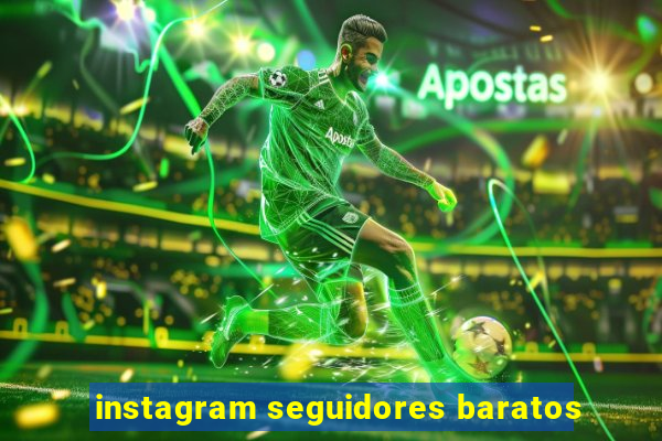 instagram seguidores baratos