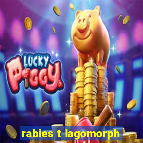 rabies t lagomorph