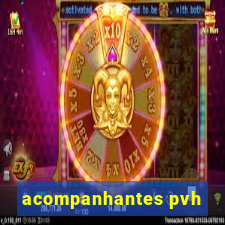 acompanhantes pvh