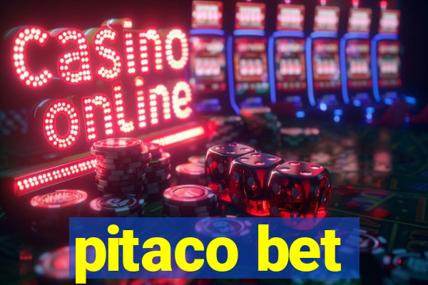 pitaco bet