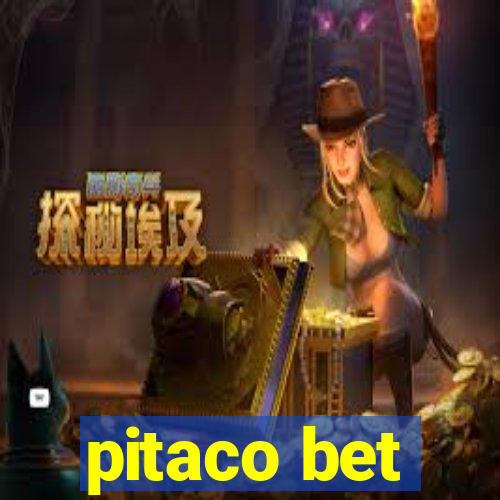 pitaco bet