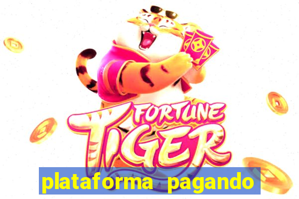 plataforma pagando no cadastro tigre