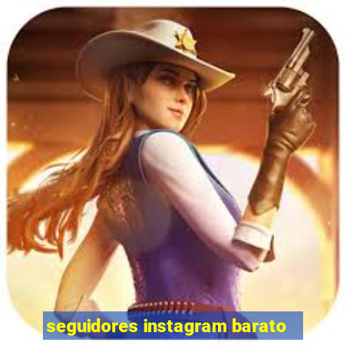 seguidores instagram barato