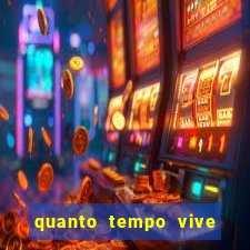 quanto tempo vive um sapo