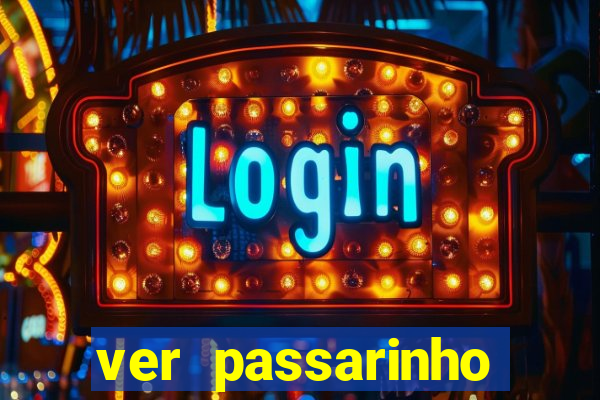 ver passarinho morto significado