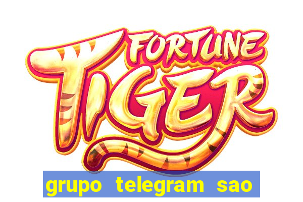 grupo telegram sao jose do rio preto