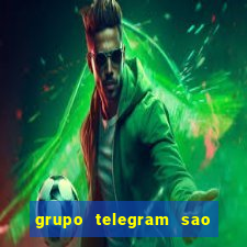 grupo telegram sao jose do rio preto