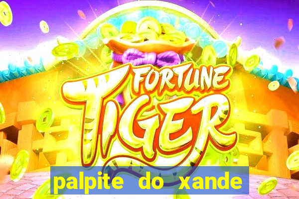 palpite do xande de hoje