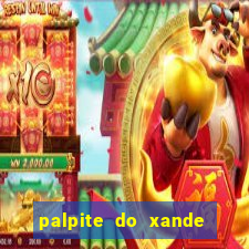 palpite do xande de hoje