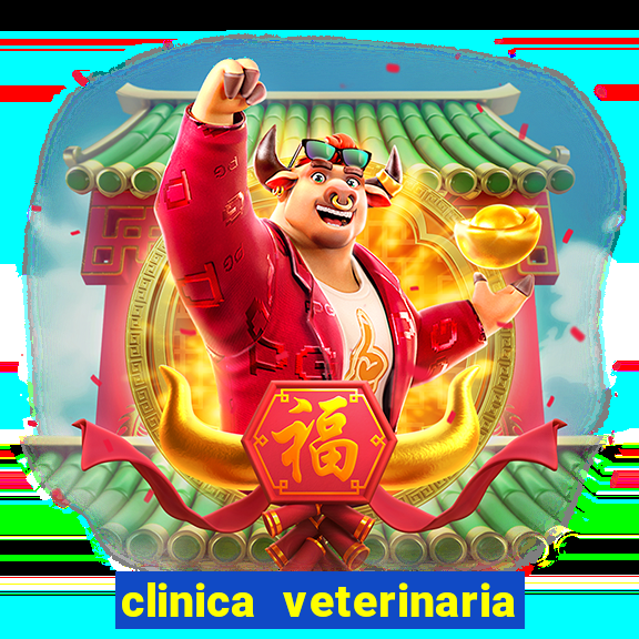 clinica veterinaria cuidar betim