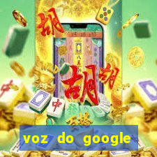 voz do google tradutor homem