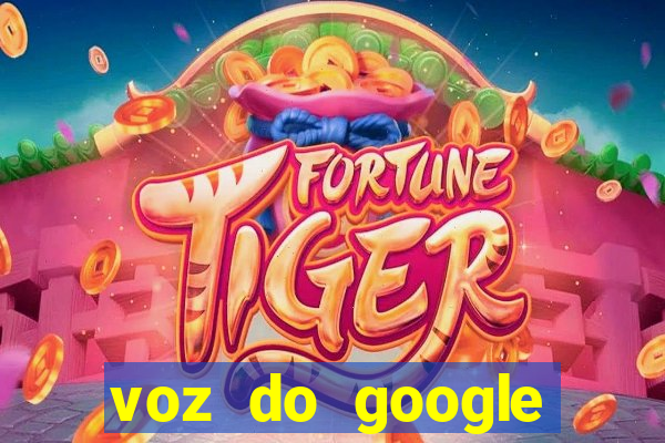 voz do google tradutor homem