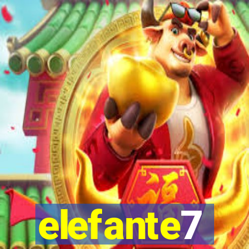 elefante7