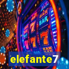 elefante7