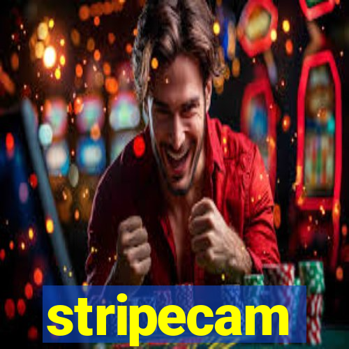 stripecam