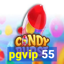 pgvip 55