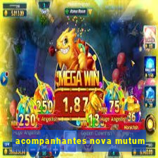 acompanhantes nova mutum