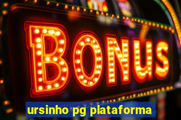 ursinho pg plataforma