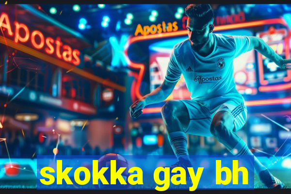 skokka gay bh