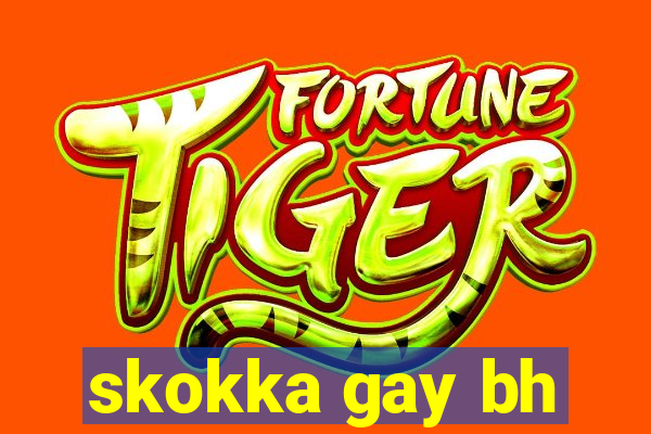 skokka gay bh