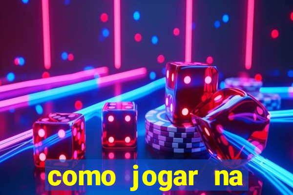 como jogar na lotinha do jogo do bicho