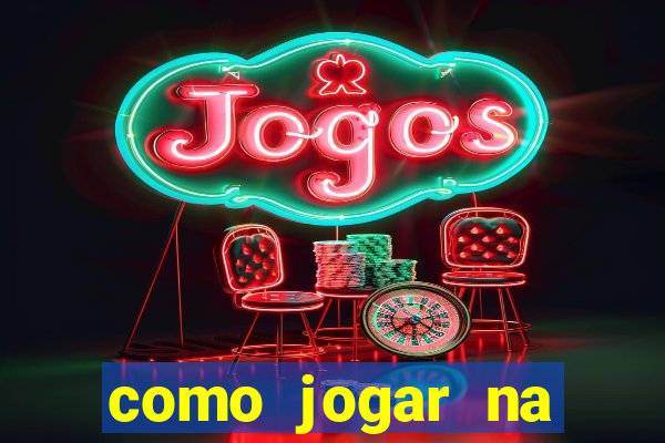 como jogar na lotinha do jogo do bicho