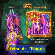 feira de filhotes porto alegre