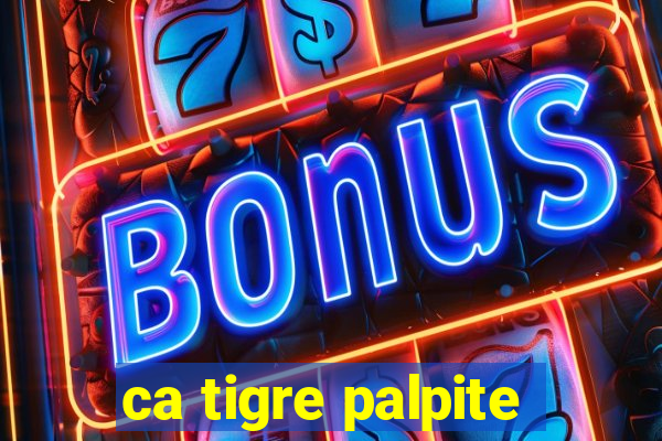 ca tigre palpite