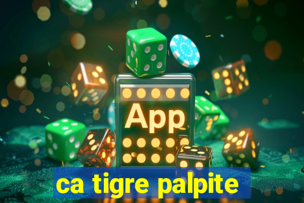 ca tigre palpite