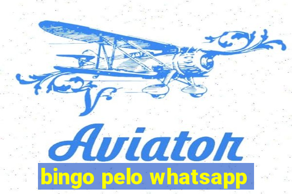 bingo pelo whatsapp