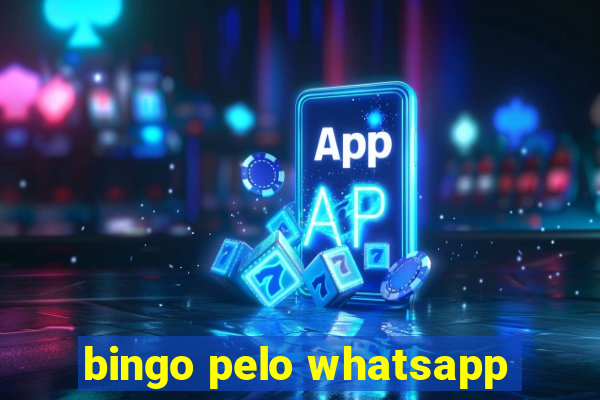 bingo pelo whatsapp