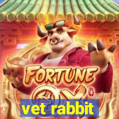 vet rabbit