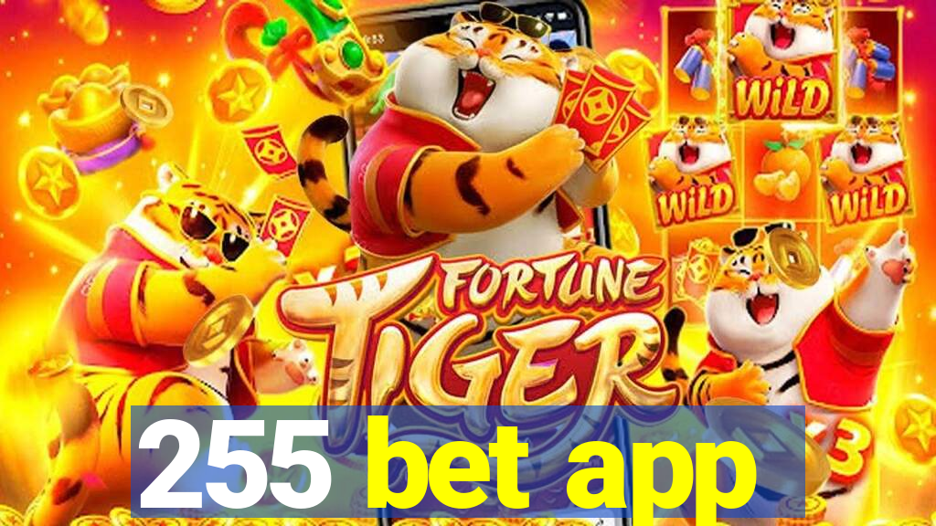 255 bet app