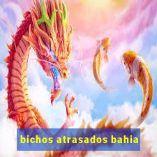 bichos atrasados bahia