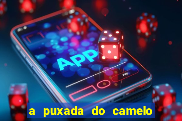 a puxada do camelo no jogo do bicho