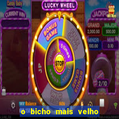 o bicho mais velho da loteria dos sonhos