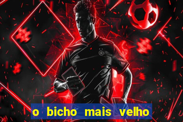 o bicho mais velho da loteria dos sonhos