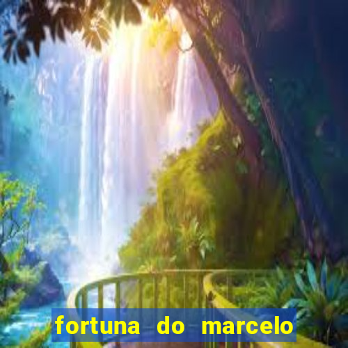 fortuna do marcelo do fluminense