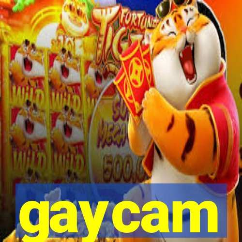 gaycam