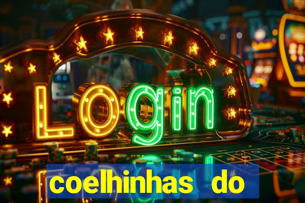 coelhinhas do brasil recife