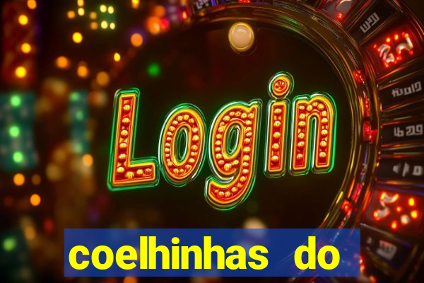 coelhinhas do brasil recife