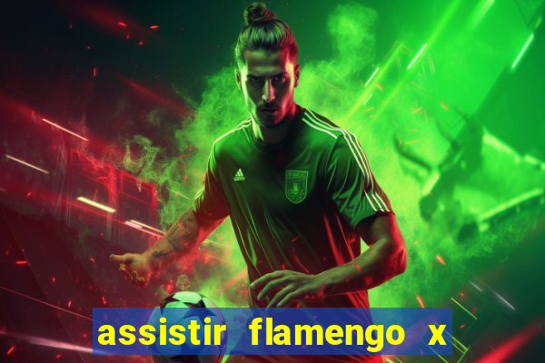 assistir flamengo x bahia multicanais