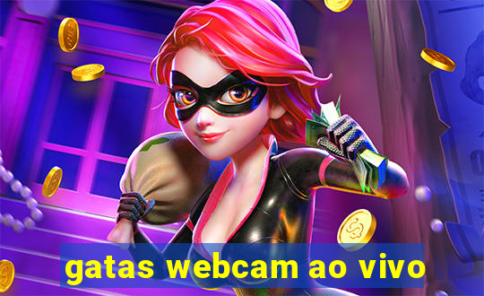 gatas webcam ao vivo