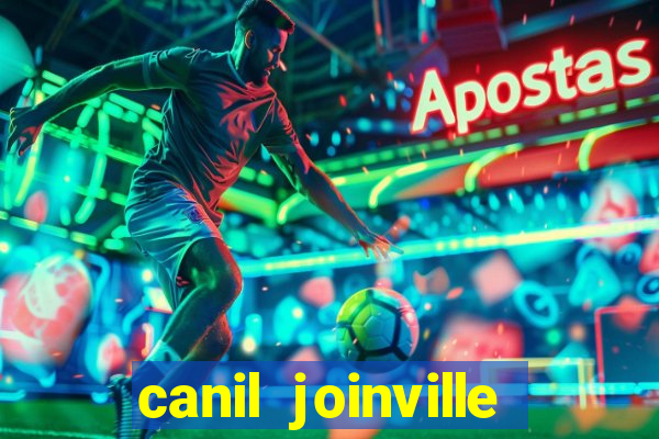 canil joinville vila nova