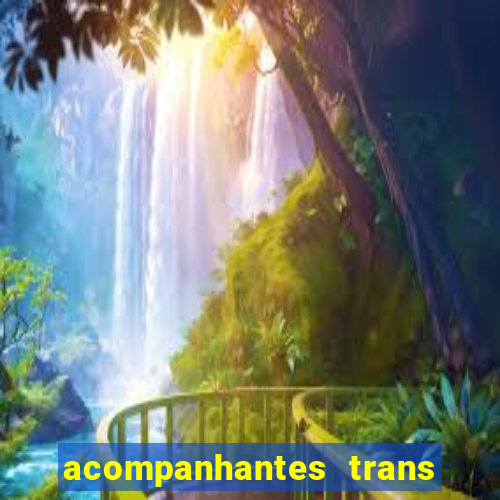 acompanhantes trans santos sp