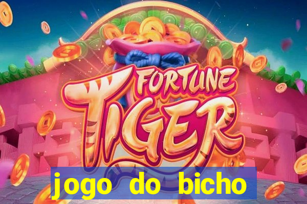 jogo do bicho crash bingo