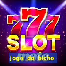 jogo do bicho crash bingo