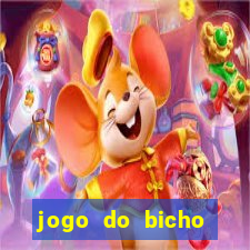 jogo do bicho crash bingo